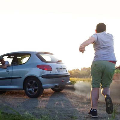 Fiat Panda 100HP, Peugeot 206 HDI 90@125 : on vous présente les PDLVmobiles