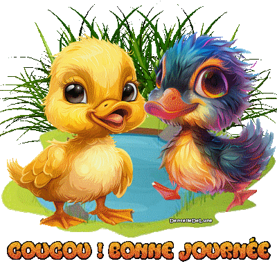 Joyeux jeunes canards - gif - coucou - bonne journée-a