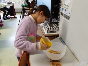 GALETTE DES ROIS (2)