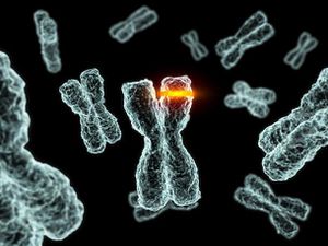 Echanger, se réunir, comprendre, et surtout faire bouger  ! Autour du syndrome de Down plus connu sous Trisomie 21