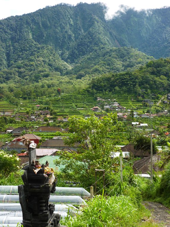 Sejour a Bali, des temples magnifiques, du vert a en perdre la tete, et des rencontres...