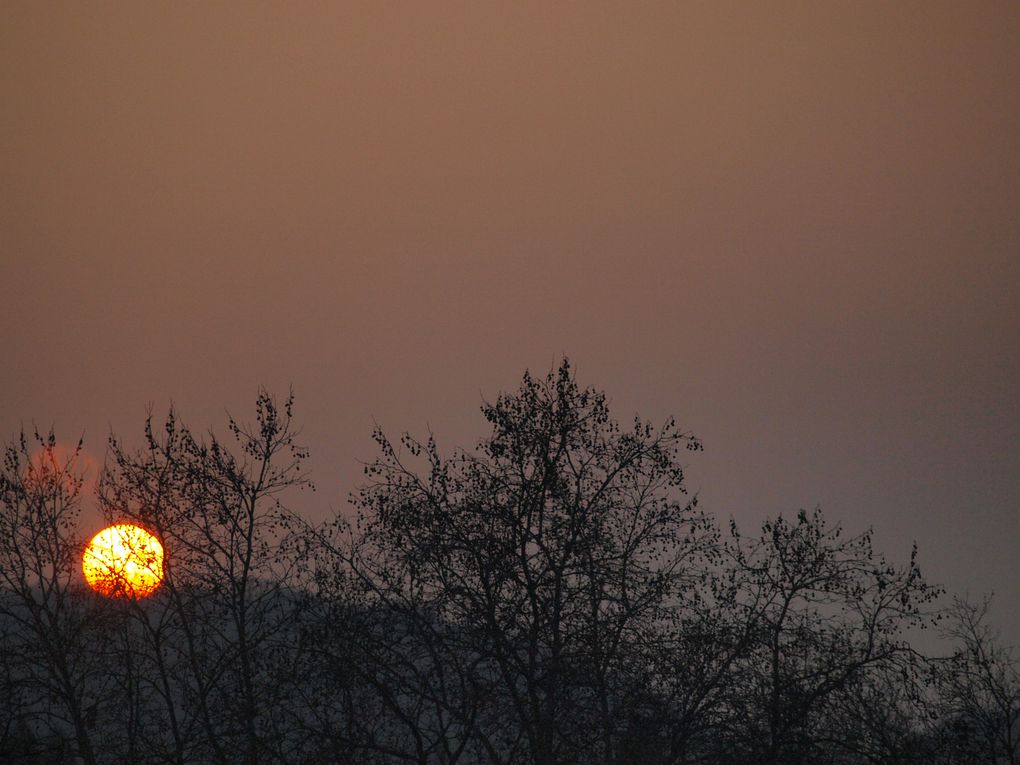 Photos prises par notre télescope (bât. 470) durant les deux premières soirées d'Observation de l'année.

Au programme :
- Jupiter et ses 4 satellites
- La Lune
- Couchers de Soleil