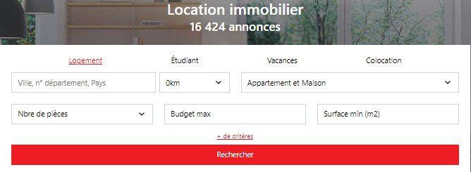 Les critères de recherche de la sous-rubrique Location 