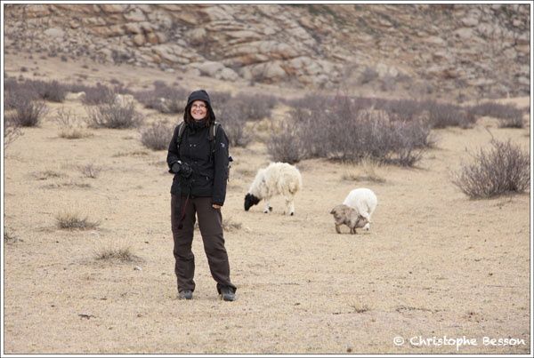 Photographies de Mongolie