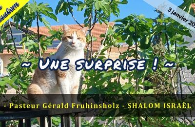 Vidéo - Une surprise !