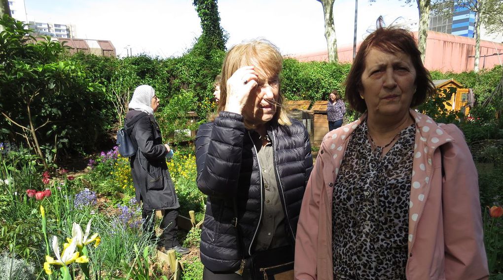 L'oasis urbaine : Une bouffée d'air frais au cœur de la ville