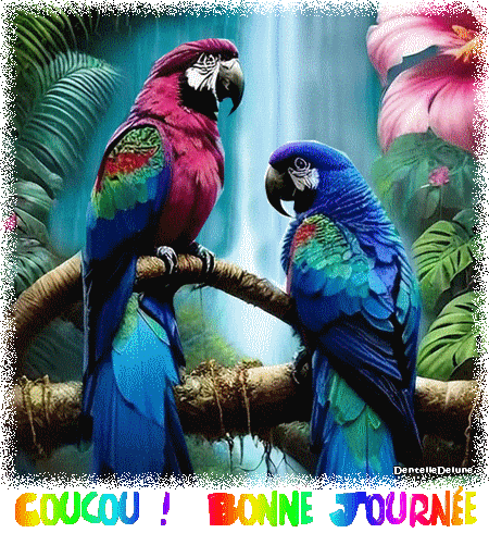 Couple de perroquets - coucou - bonne journée - gif animé