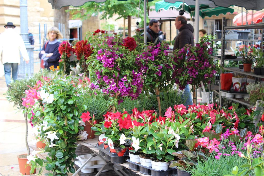 Visite d'Aix en Provence