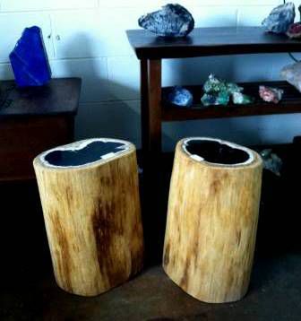 Petrified Wood Side Tables