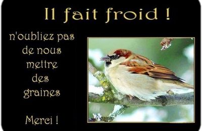 Nourrir les oiseaux durant les grands froids 