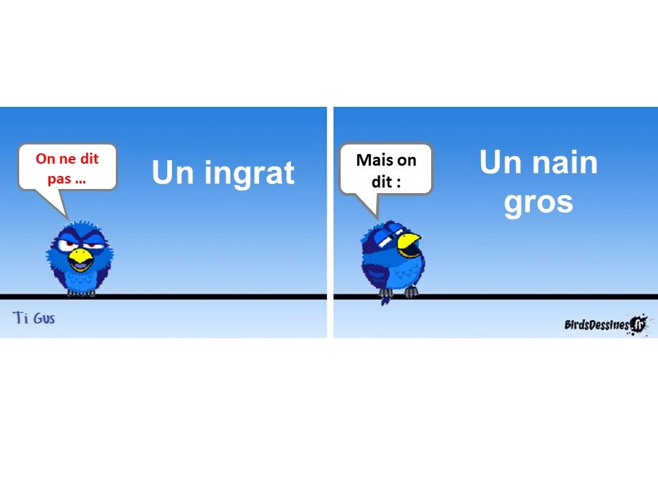 Divers - Cours de Français - 1