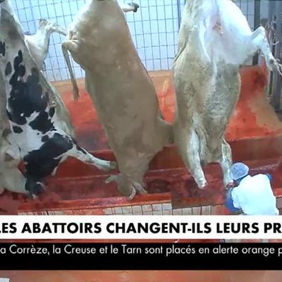 Après les scandales, les abattoirs changent-ils leurs pratiques en France ?