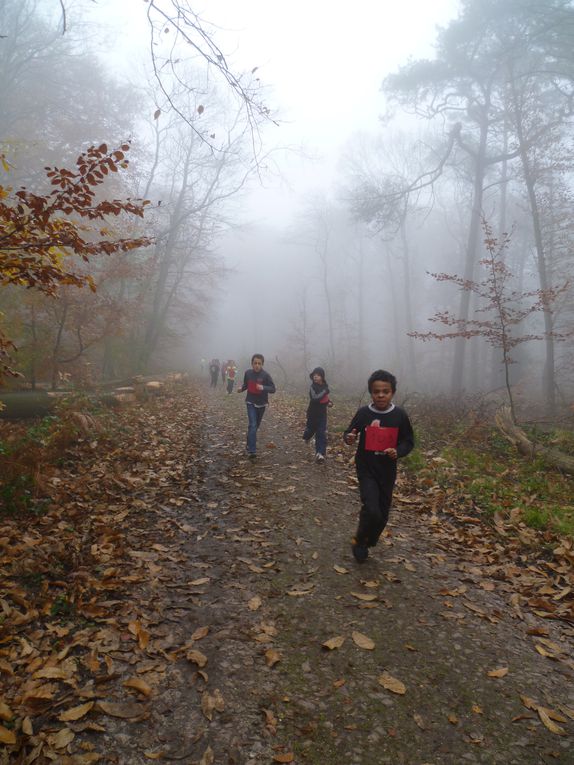 Les CE2, CM1 et CM2 de Brossolette ont participé au cross organisé par l'Office Municipal des Sports en forêt des Essarts