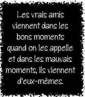 Les vrais amis viennent dans les bons moments quand on les appelle et dans les mauvais moments, ils viennent... Citation 