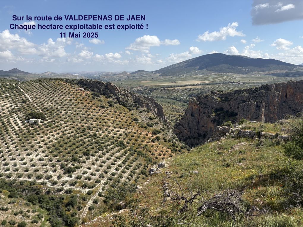TRANS ESPANA 2025_27 AVRIL-14 MAI_1080KM_14000D+
