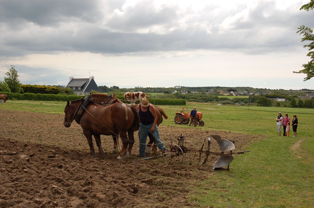 Album - ferme-ouverte-2008-Combrit