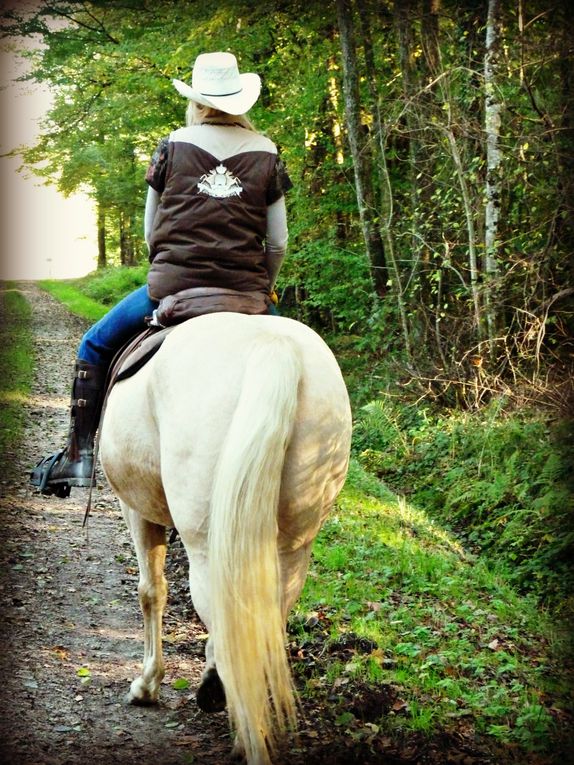 L'accueil des chevaux dan snotre parc, clos et ombragé, nos amis eux aussi ont droit au repos en toute quiètude.