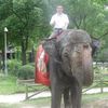 Zoo à Pudong
