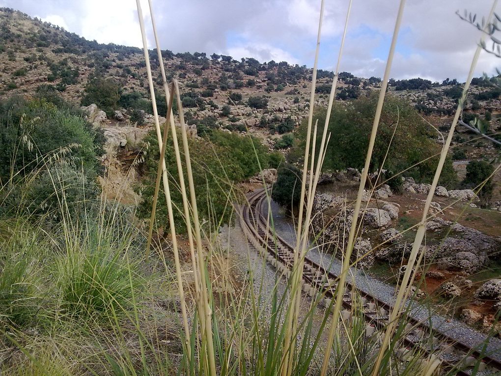 ville en Algerie commune de la daira de Machraa sfa wilaya de de Tiaret ou se trouve la mosqué de iben khaldoune et bien d'autres choses.