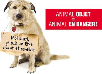 Le statut juridique de l'animal ... ça bouge !!!