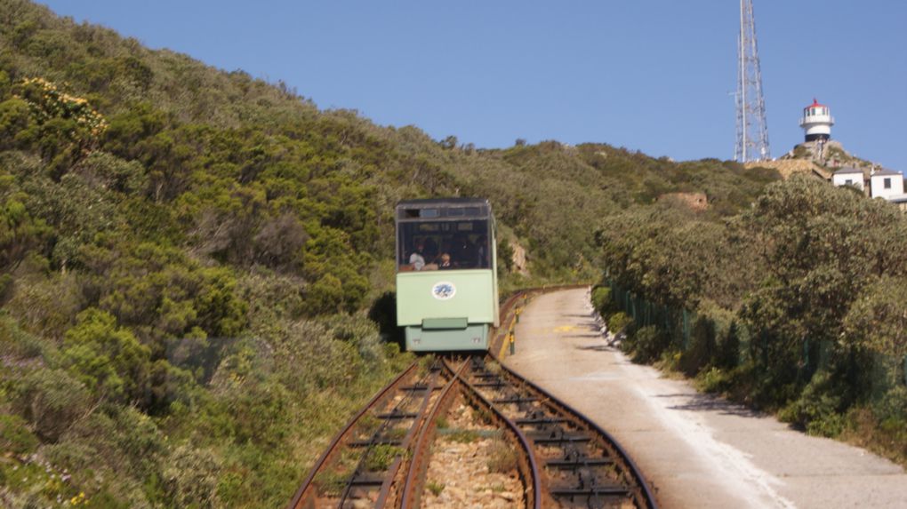 Album - La région de Cape Town