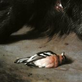 Weenix A dog over a dead boar (detail).jpg