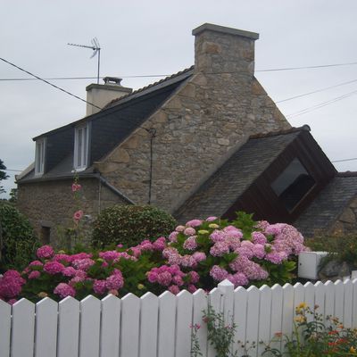 Maya et la Bretagne