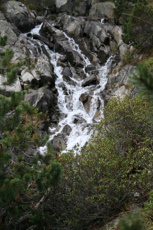 Les Pyrénées, la Fouine et un âne de Bretagne.