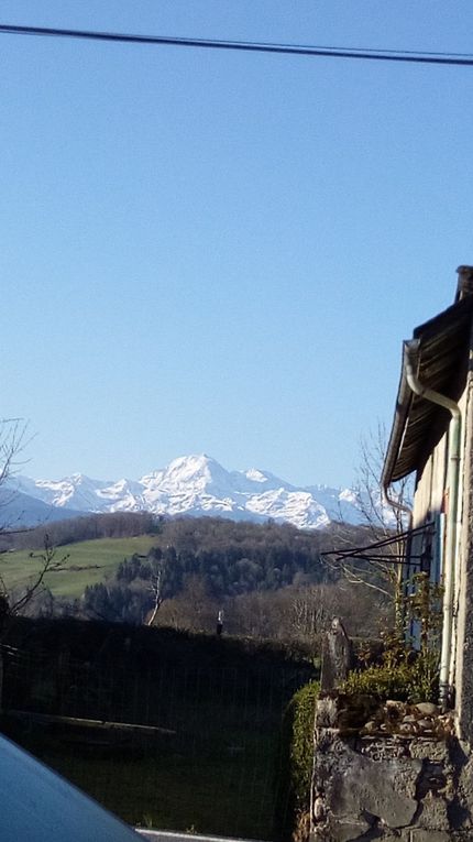 photo quotidienne du Pic du midi (vue du jardin) 