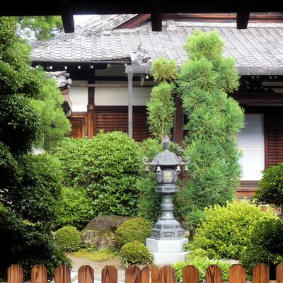 Comment aménager un jardin japonais et ses bonsaïs ? (jardins, Japon)