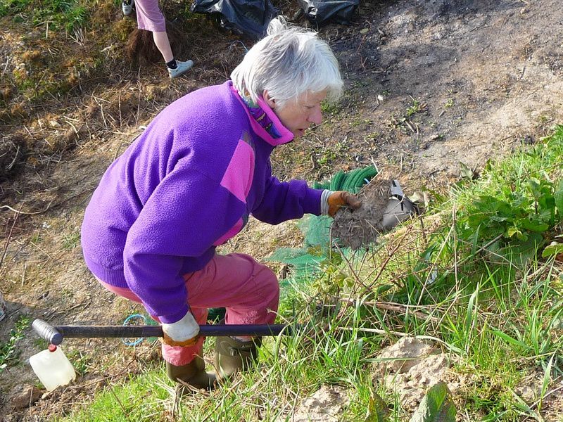 Les Vadrouilleux et chasseurs plantent des arbustes dans la cavée d'Embreville