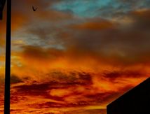 "L'esprit de feu"