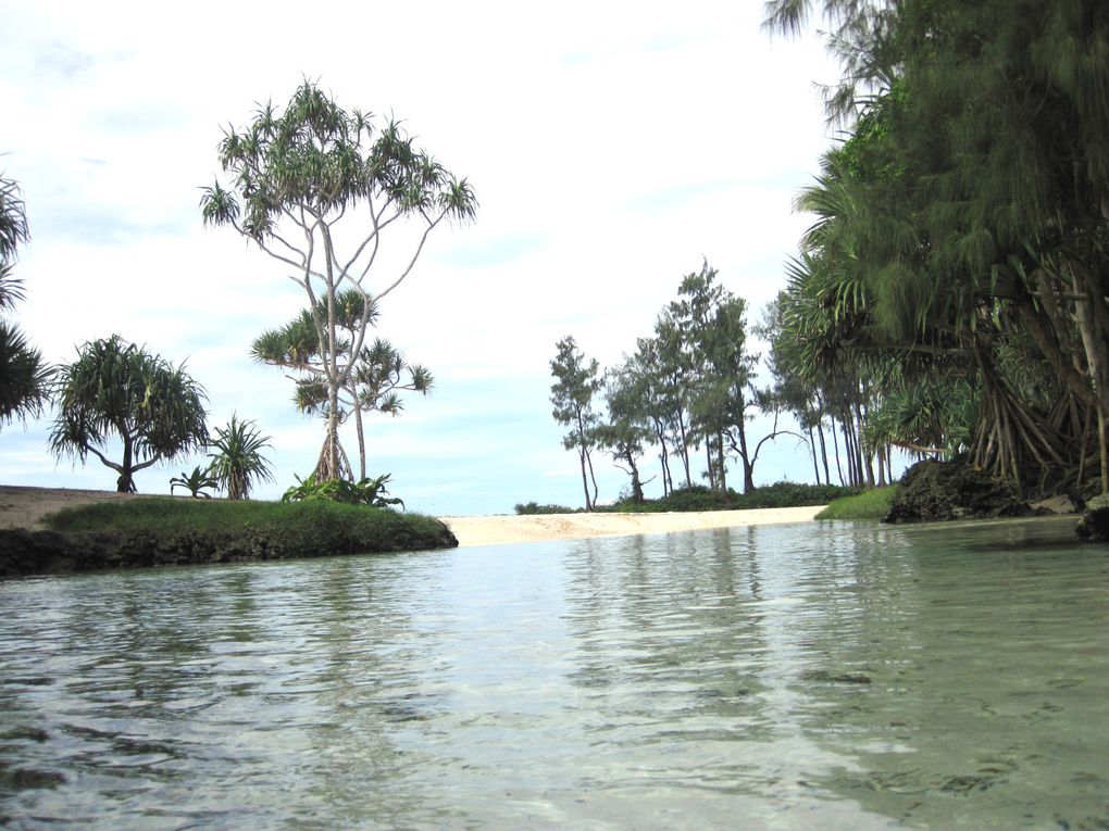 Album - VANUATU---Mai-2011