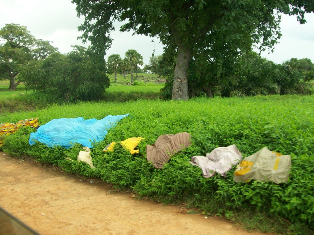 Découverte de la région de l'Est, tout près des frontières nigérienne et béninoise et presque au coeur des parc de l'Arly et du W...