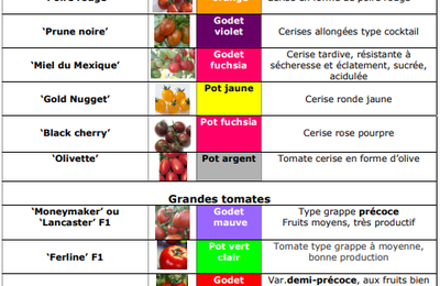 Variétés de légumes 2024