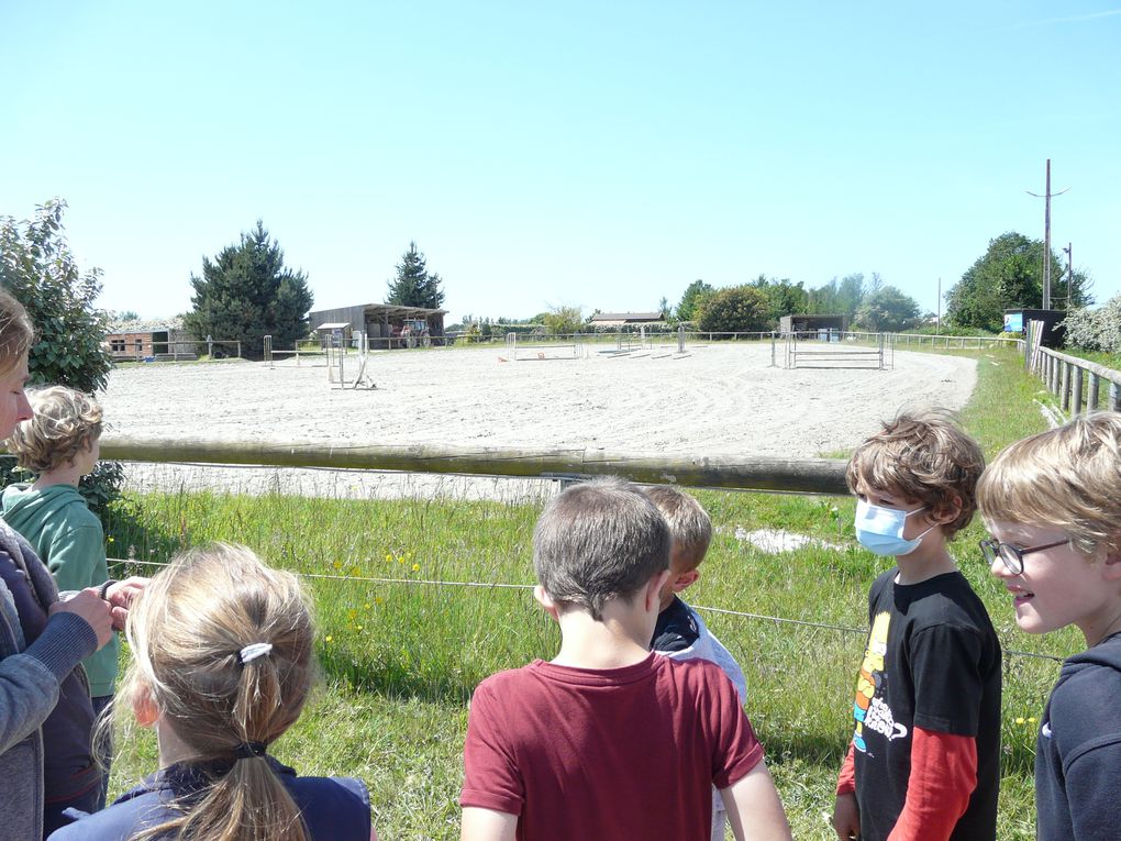 DECOUVERTE D'UN CENTRE EQUESTRE