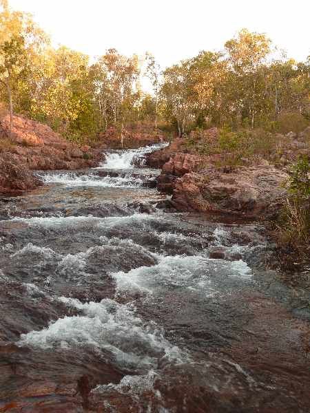 Album - 43 Jumping Crocs and Litchfield National Park