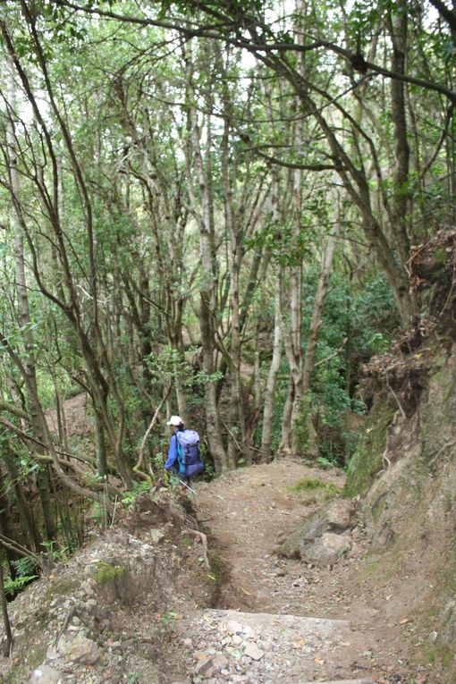 Album - La-Gomera Mai 2014