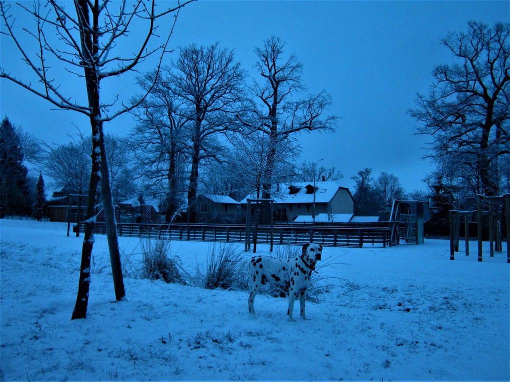  Hiver...Ferney-Voltaire......je ne suis plus....je suis a Oyonnax.....et des fois, mon Ferney, et les environs me manques....  