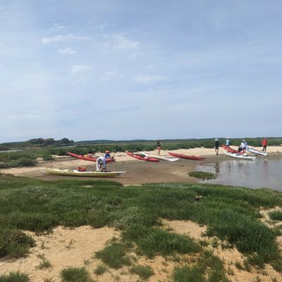 Tour de l’Ile aux Oiseaux  VENDREDI 16-JUIN-2023