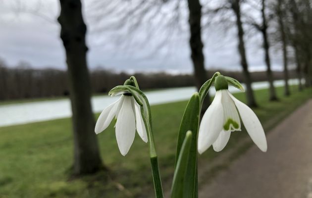 Randonnée dans le parc du château de Versailles - 11 km.