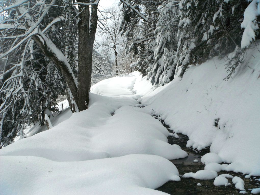 Album - St Pierre d'Entremont hiver