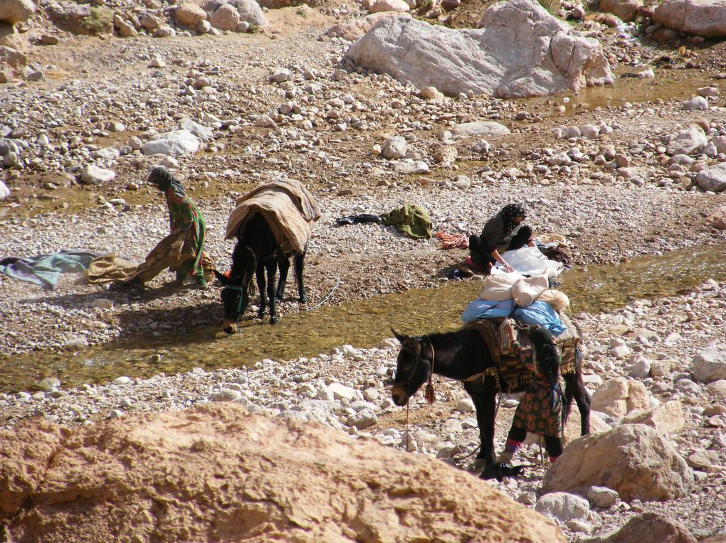 Album - Gorges-du-Todra-et-de-Dades