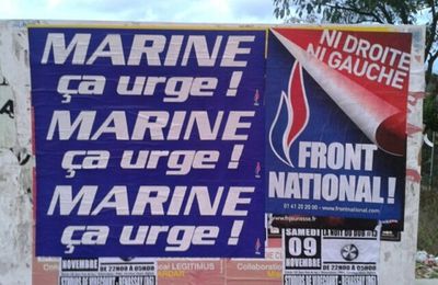 Bilan d'une année de militantisme Bleu Marine sur Poitiers / Buxerolles et alentour - 22 Décembre 2013