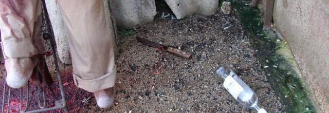El suicidio se mantiene entre las primeras diez causas de muerte en Cuba