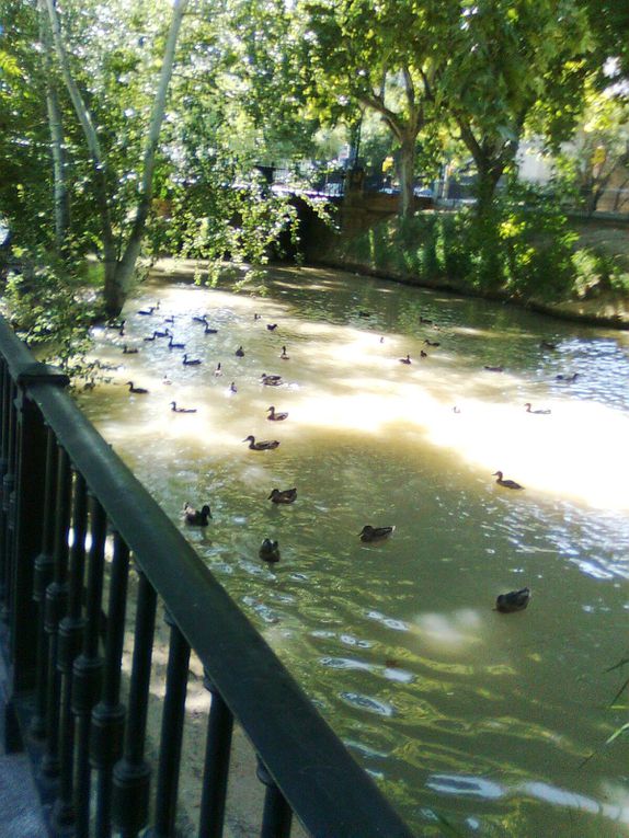 Album - Paseo-del-Canal--Zaragoza-