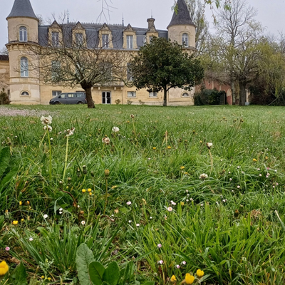 Baurech , Tabanac (février 2024)