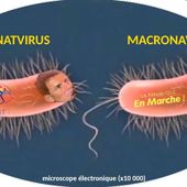 Pandémie et préventions. Coronavirus, macronavirus et patronatvirus - Ça n'empêche pas Nicolas