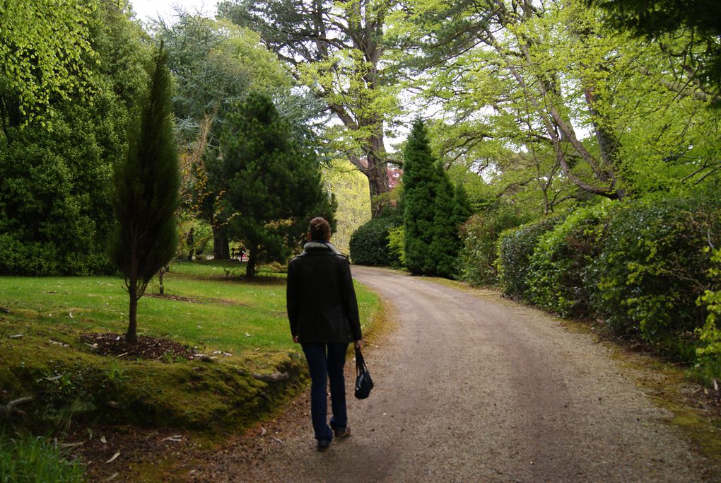 Le parc et les jardins de Powerscourt