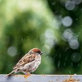 Faire la pédagogie du climat
